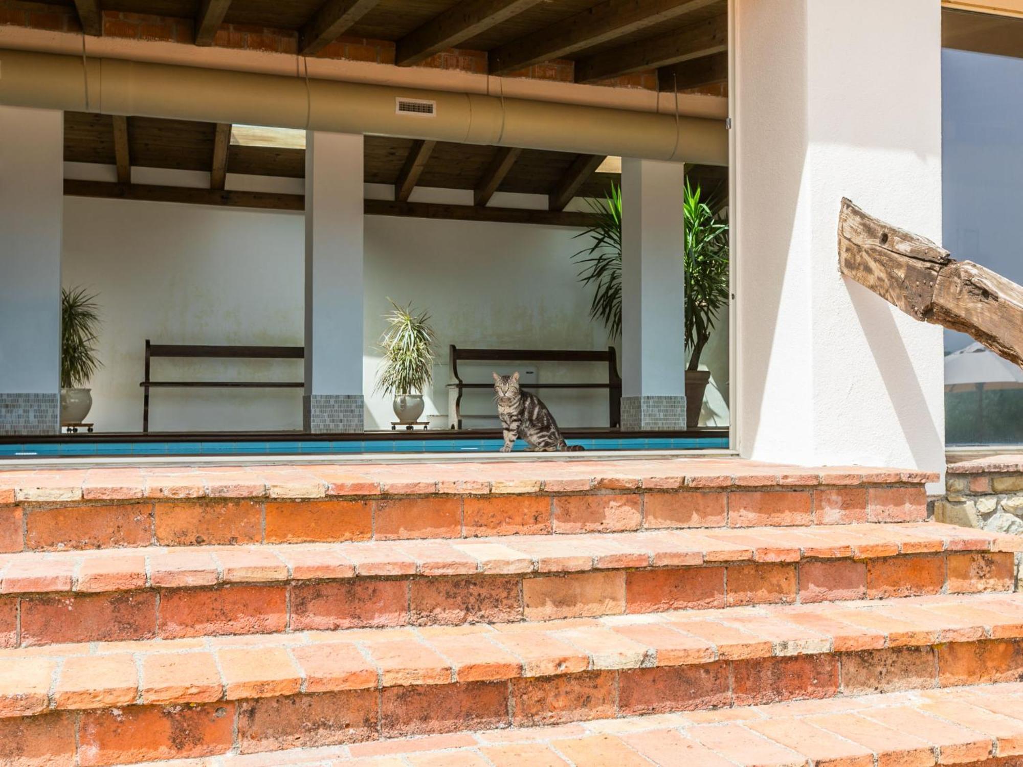 Apartment Santa Marta By Interhome Cinigiano Exterior foto